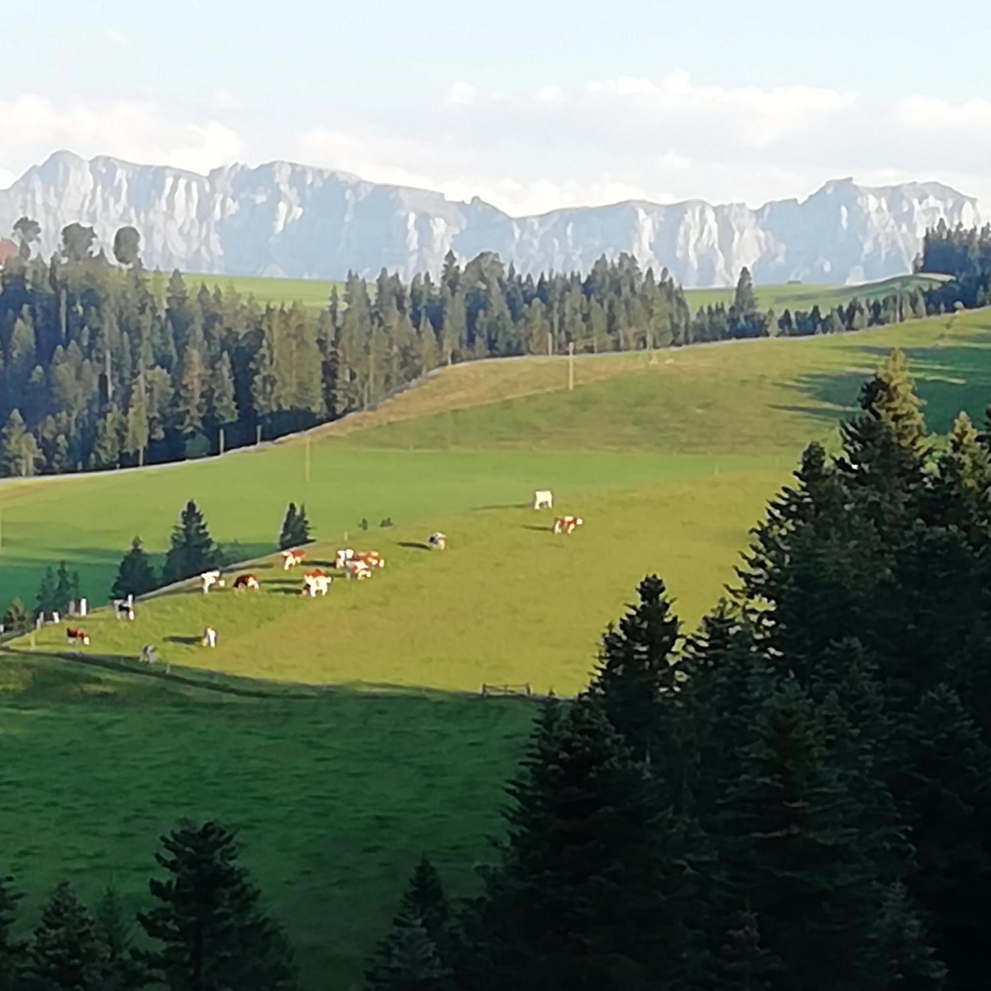 Appartement Emmental Ferien à Langnau im Emmental Extérieur photo