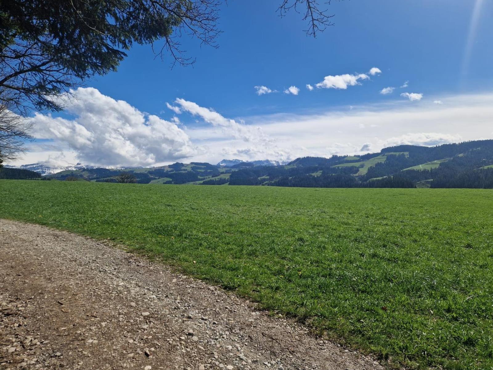 Appartement Emmental Ferien à Langnau im Emmental Extérieur photo